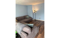 455 Three Springs Road, Bowling Green, KY 42104