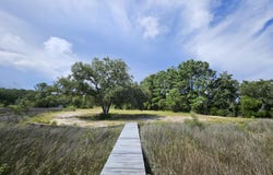7919 Pelican Bay Drive, Awendaw, SC 29429