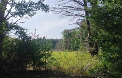 V/L Wallaker Road, Benzonia, MI 49617