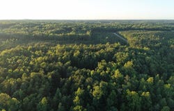 Barton Rd, Green Bay, VA 23942