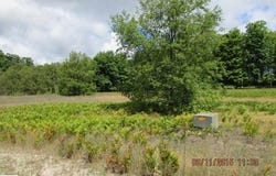 515 GROUSE DRIVE, KALKASKA, MI 49646