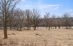 Tbd-9529 20th Street, Saint Mathias Twp, MN 56449