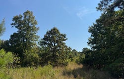 Tbd Old Brewer Rd N, Edgemont, AR 72044