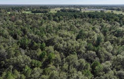 Central Road, Horatio, AR 71842