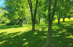 Big Chip Trail NW lot: 5, Garfield, MN 56332