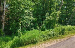 COON AVENUE lot: 3, Stevens Point, WI 54481