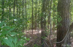 2206 S Highway 1 S, Elgin, SC 29045