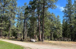 77 Ingram Road, Eureka, MT 59917