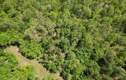 Tract 46 Trail Ridge Rd., Albion, OK 74571