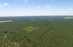 0 PATEY WOODS ROAD, NEWARK, MD 21841