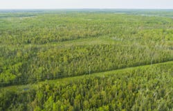 Off Big Cut Highway, Millersburg, MI 49759