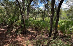 126 PECAN Avenue, Interlachen, FL 32148