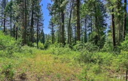 30 & Tbd Syringa, Garden Valley, ID 83622