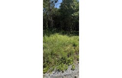 Robbies Lane, Decatur, TN 37322
