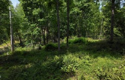 Tr 1 Atwood Point, Butler, TN 37640