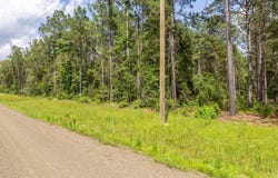 LOT 29 & LOT 30 Eagles Nest, Broaddus, TX 75929