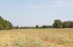 520  Road 2110, Boswell, OK 74727