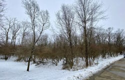 N Summerhill Drive, Albany, IN 47320