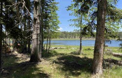 Lot 40 Ab Hidden lake Circle, Angel Fire, NM 87710