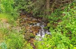 19970 N Mt Spokane Park Dr, Mead, WA 99021