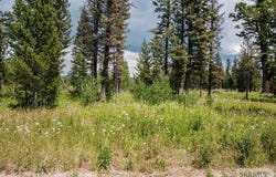 2819 NE Sagehen Dr, Island Park, ID 83429