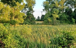 9250 92nd Street SE, Alto, MI 49302