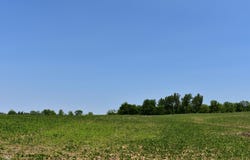 0 Dayhuff Road E, Mooresville, IN 46158