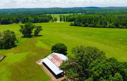 707 County Road 223, New Brockton, AL 36351