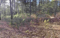 400 Tree Farm Road, Melbourne, AR 72556