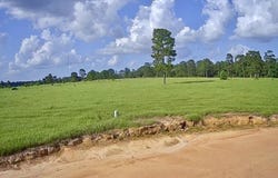 LOT 247 MEADOW VIEW, Hillister, TX 77624