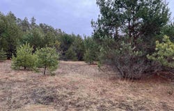 10299 Levi Lane, Kingsley, MI 49649