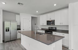 29360 CASPIAN STREET, LEESBURG, FL 34748