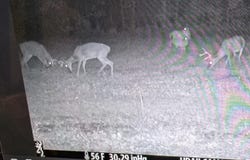 13235 KNOTTS Lane, GOLTS, MD 21635