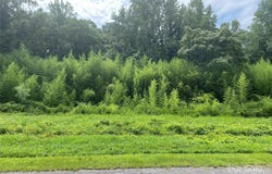 5217 Cherryvale Avenue, Valdese, NC 28690