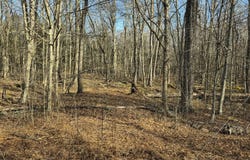 Lot G1009 Lyman Lane, Gouldsboro, PA 18428