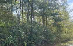 00 Western Red Bird Drive, Hendersonville, NC 28792