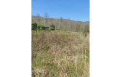 1112 Covered Bridge Road, Wallingford, KY 41093