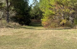 01 Norris-Homewood Rd., Forest, MS 39074