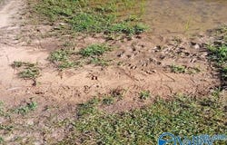 11212 Highway 19, Vina, AL 35593