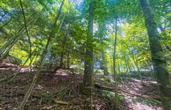 0 Glades Rd, Minford, OH 45653