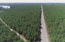 Parcel 2 Rice Lake, Gwinn, MI 49841