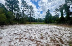 Viola Avenue, Eustis, FL 32736