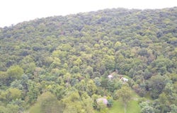 1151 MILLER Road, RIDGELEY, WV 26753