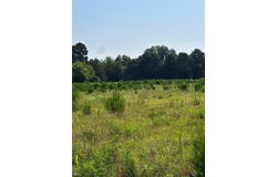 001 Fm-144, Daingerfield, TX 75638