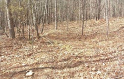 40.21 Acres County Road 239, Valley Head, AL 35989