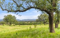 9069-39 Ranch Rd 1323, Fredericksburg, TX 78624