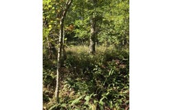 144 Gunter Place Rd, Sunbright, TN 37872
