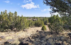 1794 Queen Creek Place, Show Low, AZ 85901