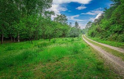 10770 S Long Lake Road, Oakland City, IN 47584