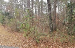 Crestwood Cir, Alexander City, AL 35010